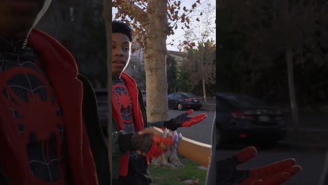 🕷️Miles Morales Gets Busted! #intothespiderverse #milesmorales #spiderman #liveaction #films