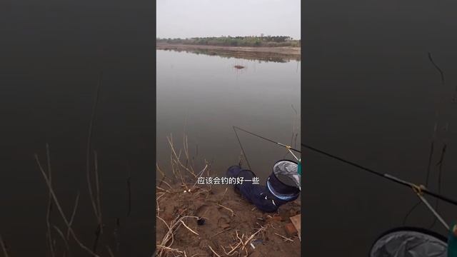 【鄧剛釣魚】上次脫鉤感覺有巨物，鄧剛今天換巨物竿，沒想到喜提巨大青魚！【天元邓刚】