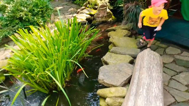 Сочи сегодня 2021- Парк Ривьера Динопарк 🐉🌳🐾 развлечения для детей смотреть онлайн