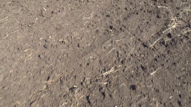 Культиватор секционный универсальный АЛТАЙ КСУ-11 в работе смотреть онлайн