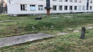 Восточноевропейская овчарка .Учеба по  защите и охране - КАПИТАН  БЛАД  14мес.