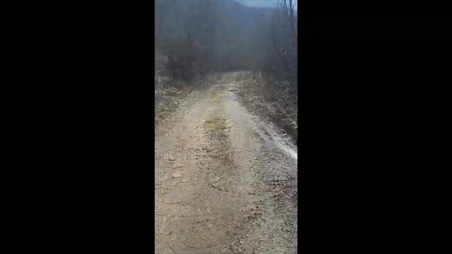 Поездка на скутере в горы смотреть онлайн