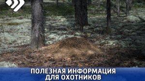 Отныне получить пропуск на территорию заказника "Белый" можно только в электронном формате