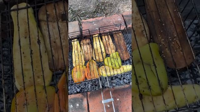 Овощи на гриле ( электрогриле и мангал)
