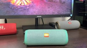 Версии JBL FLIP 4 (TL или GG), что лучше?