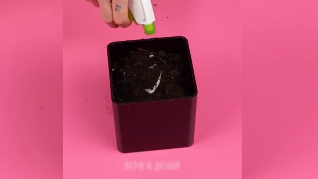 20+ выдающихся идей для вашей дачи __ Домашний декор