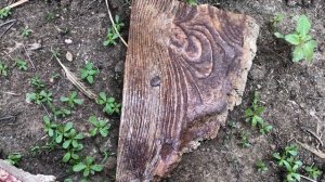 Восстановление окраса Печатного бетона | Color Restoration Stamped Concrete