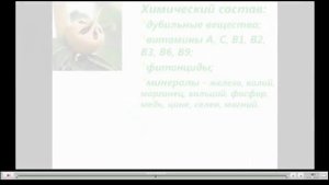 Мушмула Полезные свойства