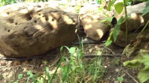 Насос для пруда Jebao AMP-4600. Отличная помпа для системы фильтрации.