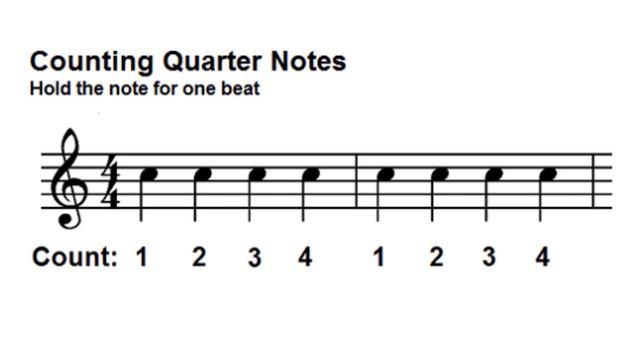 The Quarter Note or Crotchet (Music Theory For Beginners) смотреть онлайн