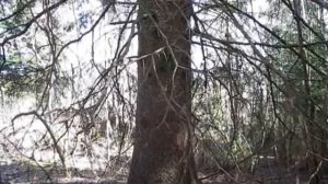 Куркиёки. Места силы