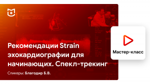 Рекомендации Strain эхокардиографии для начинающих. Спекл-трекинг. Благодир Б.В.