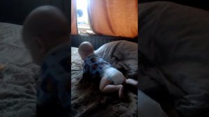 Ребёнок ползает в 4 месяца.