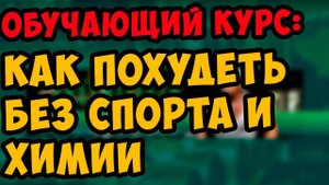 обучающий курс - как похудеть без спорта и химии