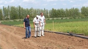 Мастер класс по мелиорации