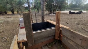 кормушка для быков быстро