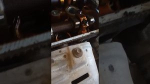 Замена прокладки Таета Ипсум