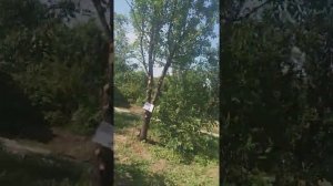 Жук  олень  не  кусается  я  его  на  руки  брала!!