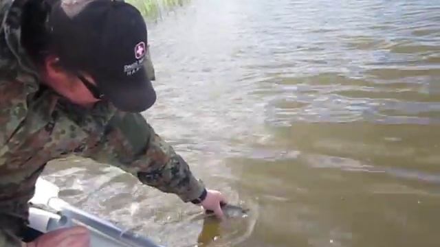 Дайте волю судачку. смотреть онлайн