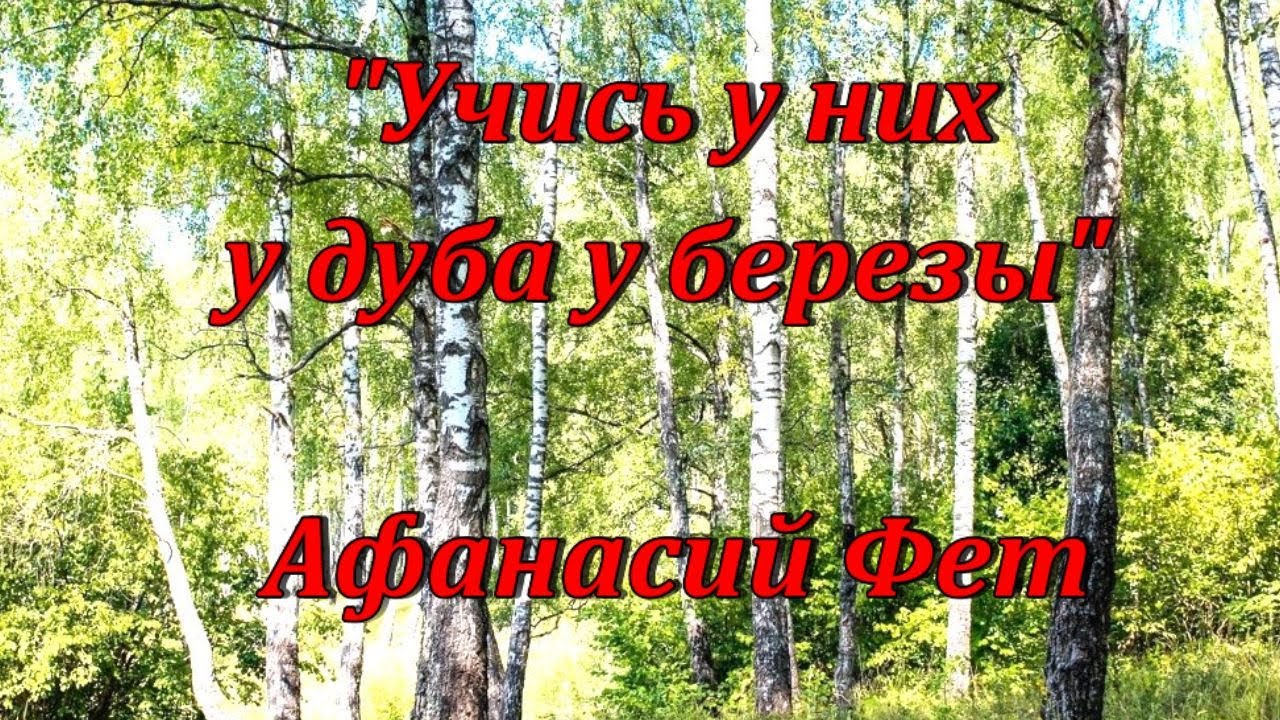 Учись у них у дуба слушать. Стихотворение учись у них у дуба у березы. Стихотворение Фета учись у них у дуба у березы.