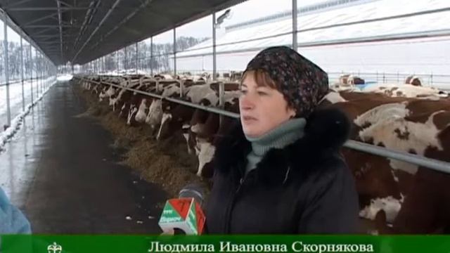 Профориентационная экскурсия школьников на ОАО АПК «Бирюченский». 08.11.2016 смотреть онлайн