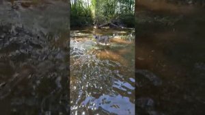 рыбалка река Обор