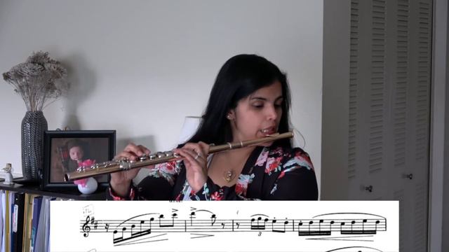 Texas ATSSB All-State Flute Selection, Year E - Allegro vivo смотреть онлайн