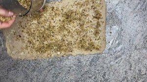 РУЛЕТ из ФАСОЛИ С ГРЕЦКИМИ ОРЕХАМИ!!! ВЫ ОБЯЗАНЫ ЭТО ПОПРОБОВАТЬ ...