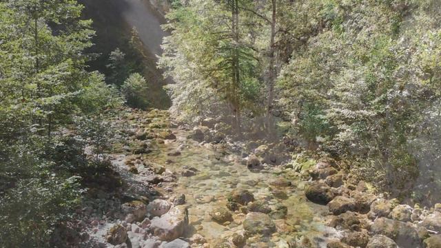 Абхазия, дорога к озеру Рица, 2020 г. смотреть онлайн