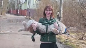 РЕАКЦИЯ ПРОХОЖИХ НА РЫСЬ. Прогулка с большой кошкой Ханной.
