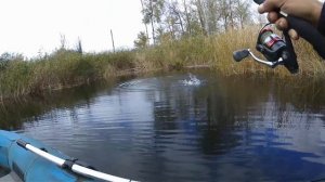 Щука на Воблеры осенью! Рыбалка на Спиннинг. Ловля Щуки.