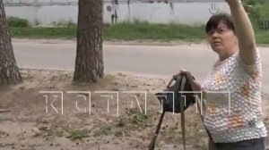 Звериная жестокость - дворового кота выкинули с балкона за то, что он помешал жителям