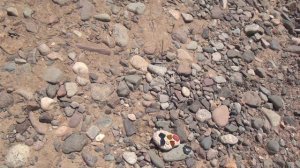 Поиск алмазов и топазов