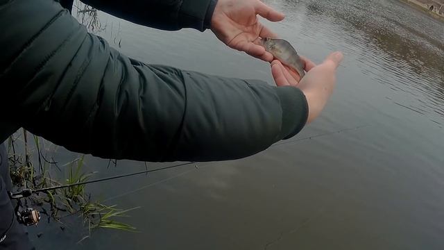 Мормышинг. Отчет за 14 апреля 2019. смотреть онлайн