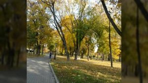 Осень пришла...