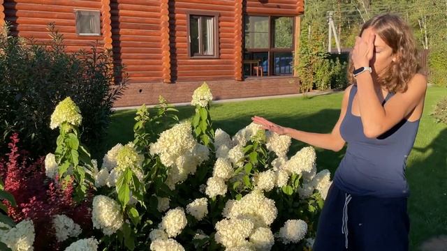 ВСЁ о ГОРТЕНЗИЯХ. Уход, обрезка, подкормка смотреть онлайн