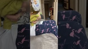 Как надеть на обезьяну подгузник без помощника.