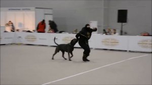 Екатерина Дранец & Хорос Гармония Синдирита