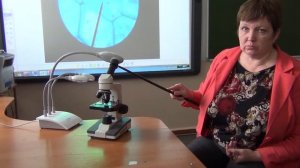 Использование микроскопа и документ камеры на уроках биологии