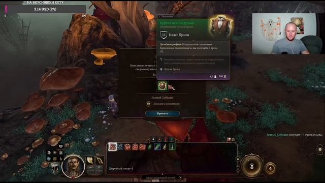 Baldur's Gate 3 Усатый Варвар NoReload NoDeath Tactics Solo  часть 1