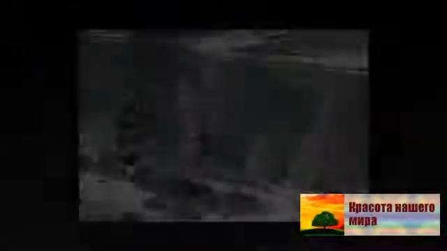 Алтай зимой необычайно красив