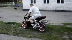 CTM-508 Mosquito, Suzuki Street Magic