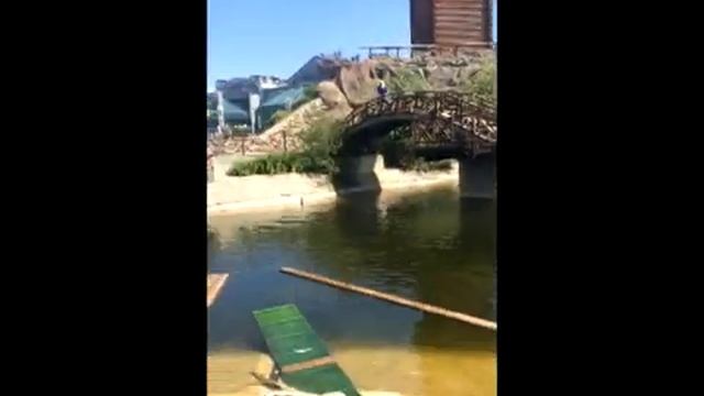 Зоопарк Ижевск смотреть онлайн