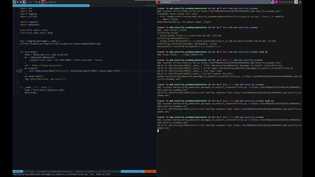 Web Security Academy | Websockets | 1 - Manipulating Websocket Messages To Exploit Vulnerabilities смотреть онлайн