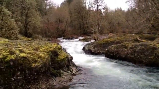 Credits: "Black Violin Overture."    Yeah Baby! смотреть онлайн