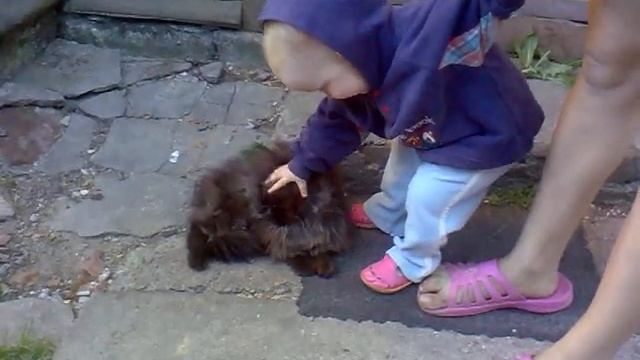 ребенок жалеет кота смотреть онлайн