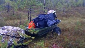 РОСТИН. К озеру через болото.