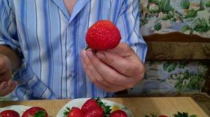 Дегустация клубники Азия, Фурор, Галя чив и Корона.