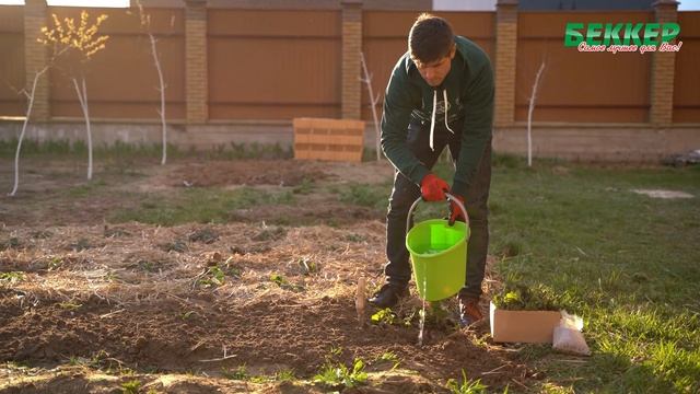 Как посадить клубнику весной? Фриго рассада клубники / Правильная посадка земляники смотреть онлайн