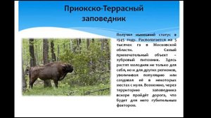 «Заповедные уголки России» –виртуальная экскурсия ко Дню заповедников и национальных парков